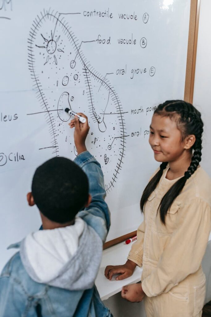 Multiracial smart classmates studying structure of primitive organism on whiteboard while showing scheme